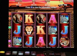 So米体育下载电脑免费版